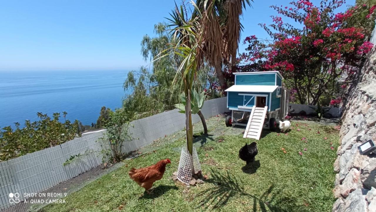 Villa Buganvilla En Salobreña Εξωτερικό φωτογραφία